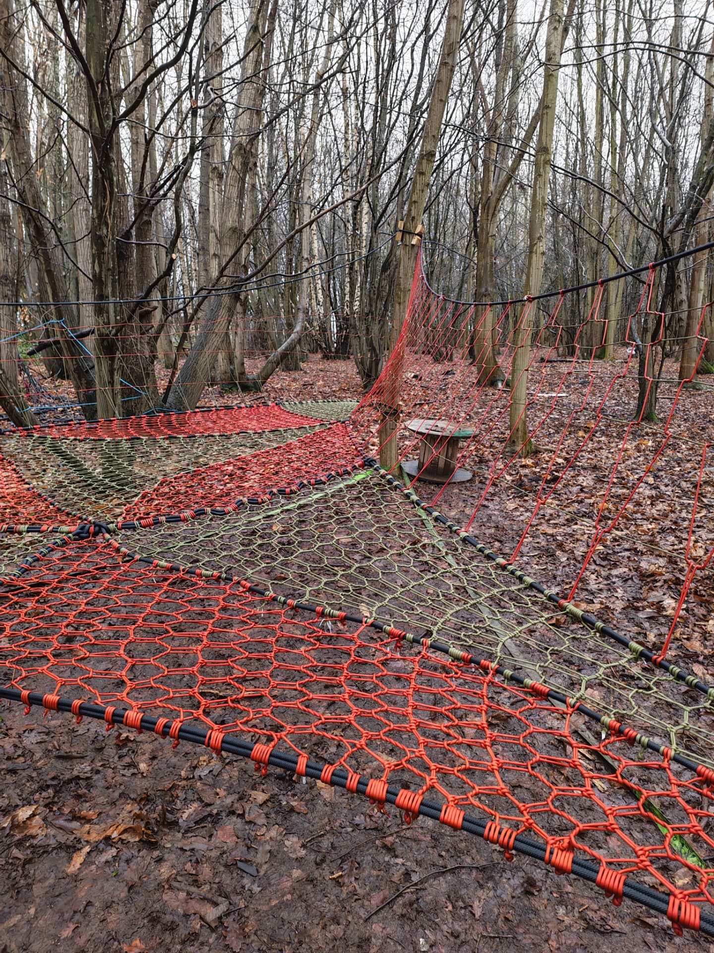 Large red and olive hand-woven ground-level TreeNet spanning a winter coppice woodland at Wild at Heart Learning