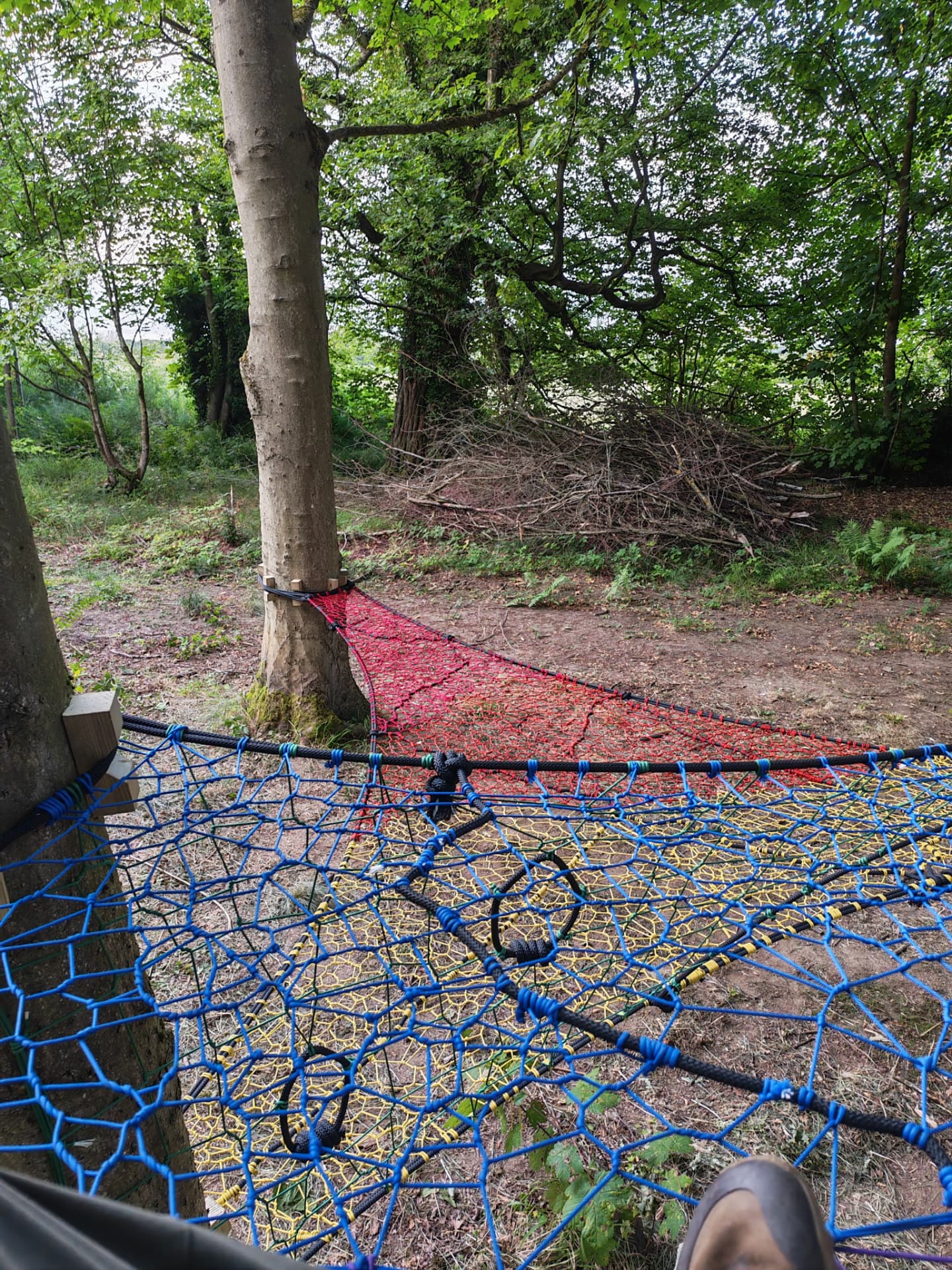 Red, yellow and blue net sections of the Halkyn Woods TreeNet spanning the woodland floor