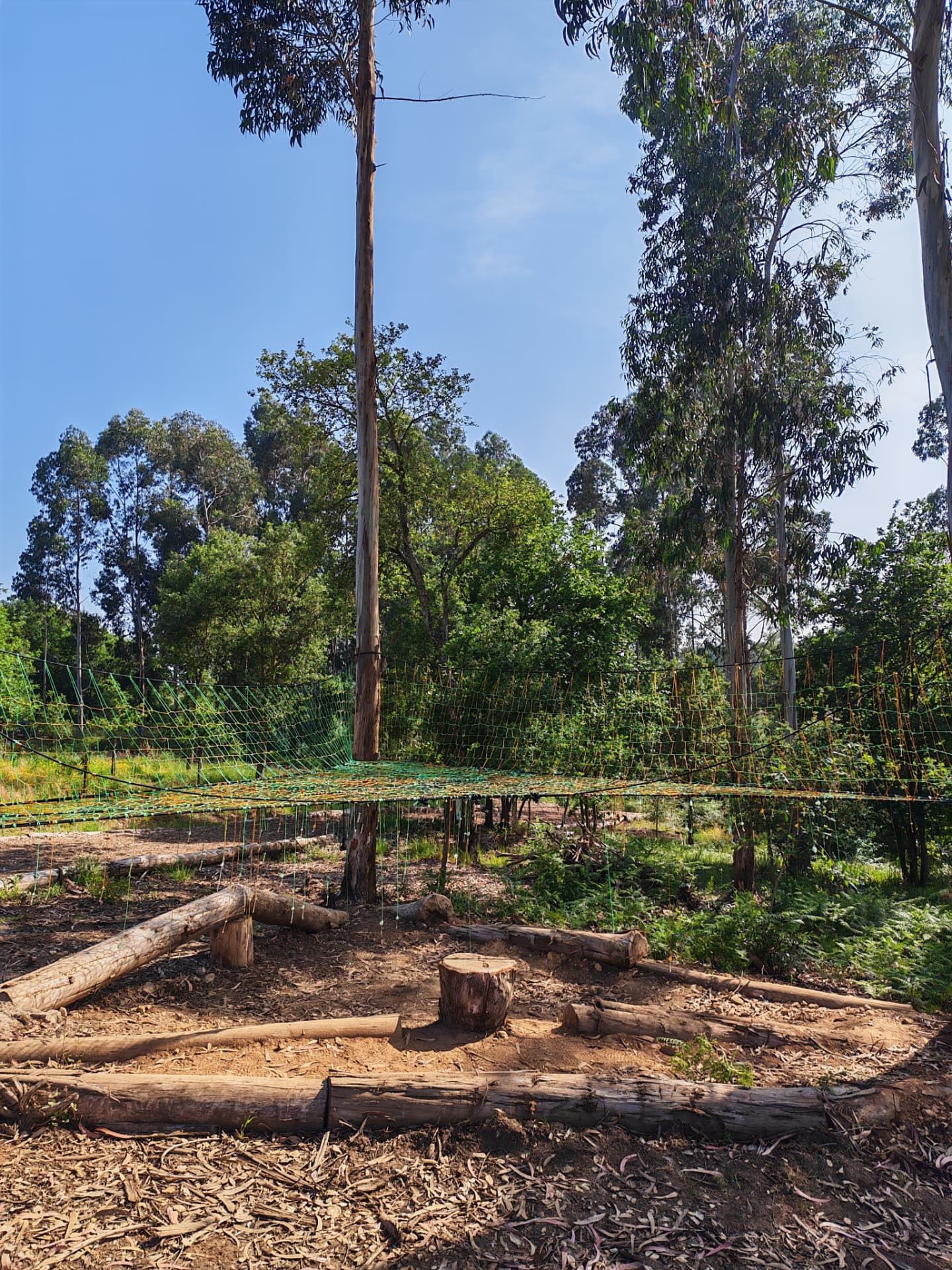 Full view of the Portugal TreeNet strung between eucalyptus trunks above a wood-chip play area