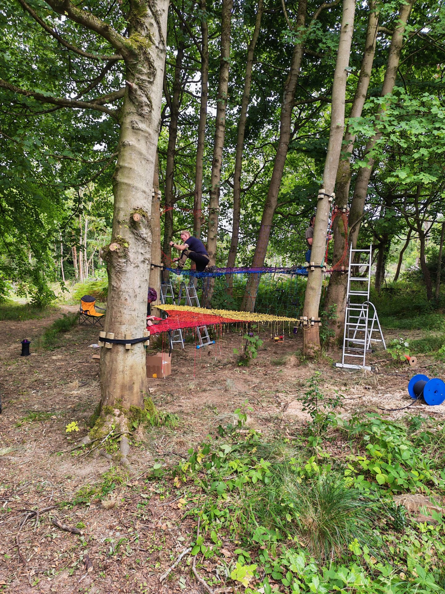 Team hand-weaving a colourful TreeNet between mature beech trees at Halkyn Woods, North Wales