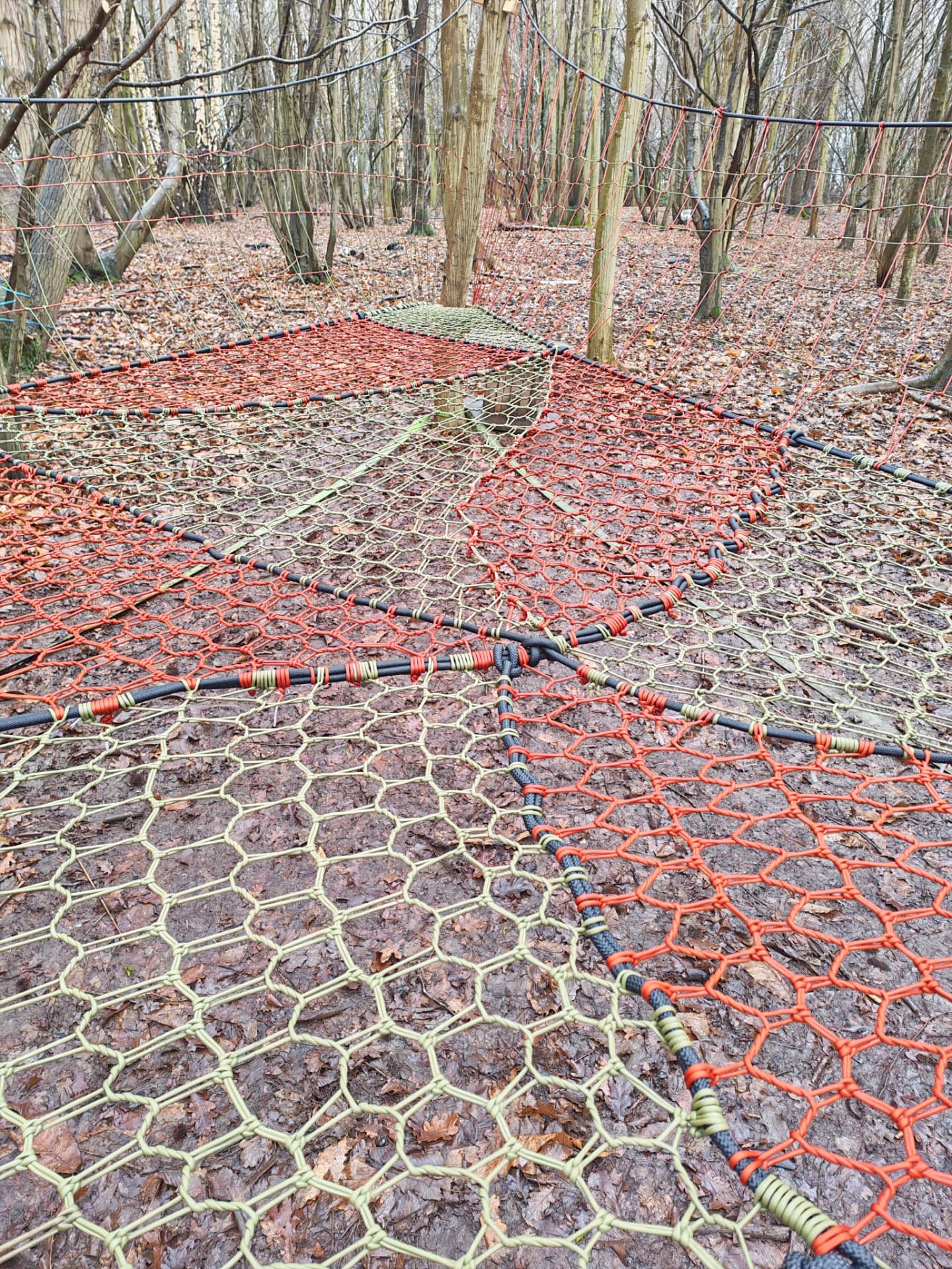 Full view of the Wild at Heart Learning TreeNet with hexagonal woven panels and perimeter climbing net