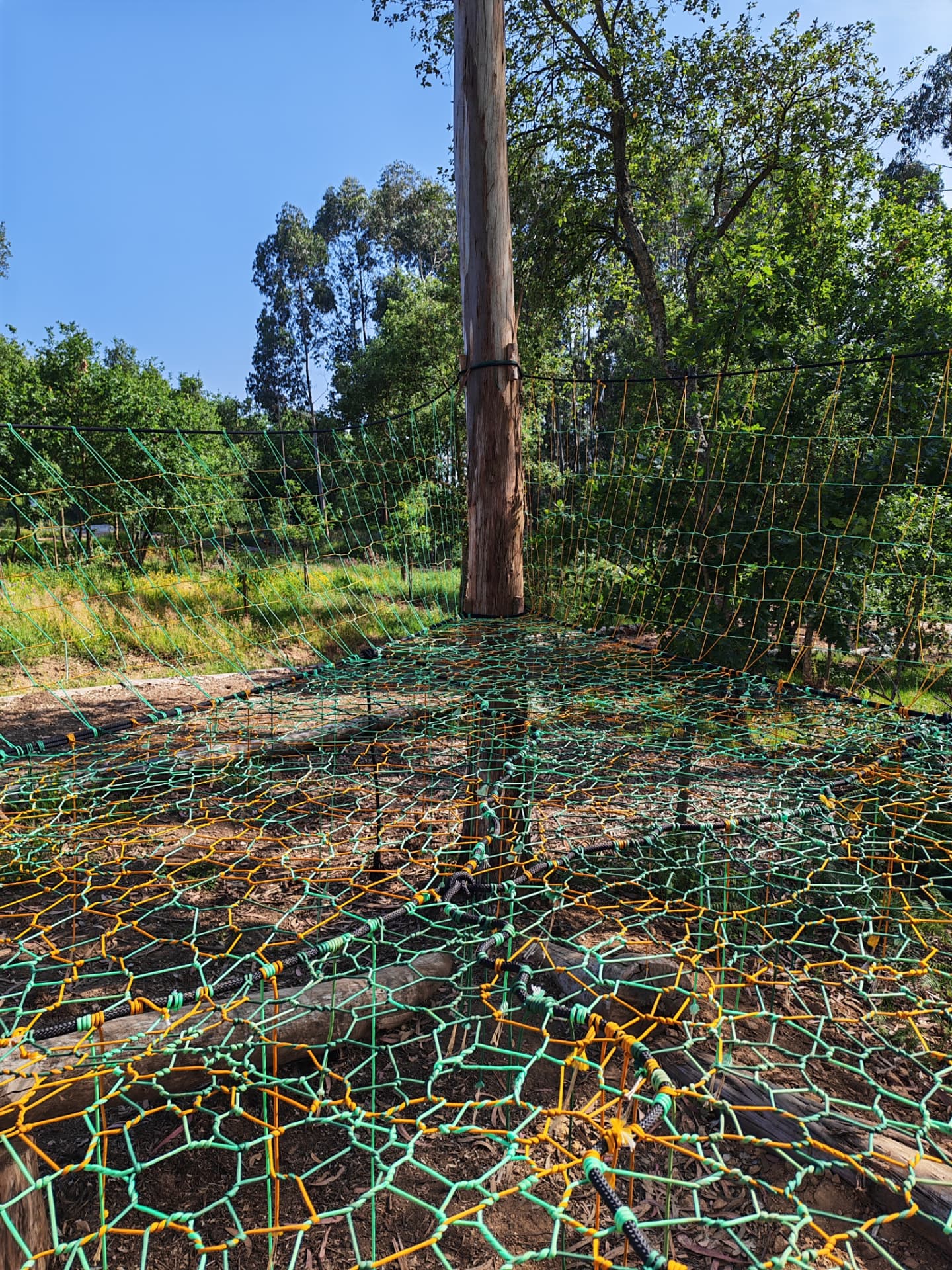 Close view of the green and orange knotted netting of the Portugal TreeNet around a central tree