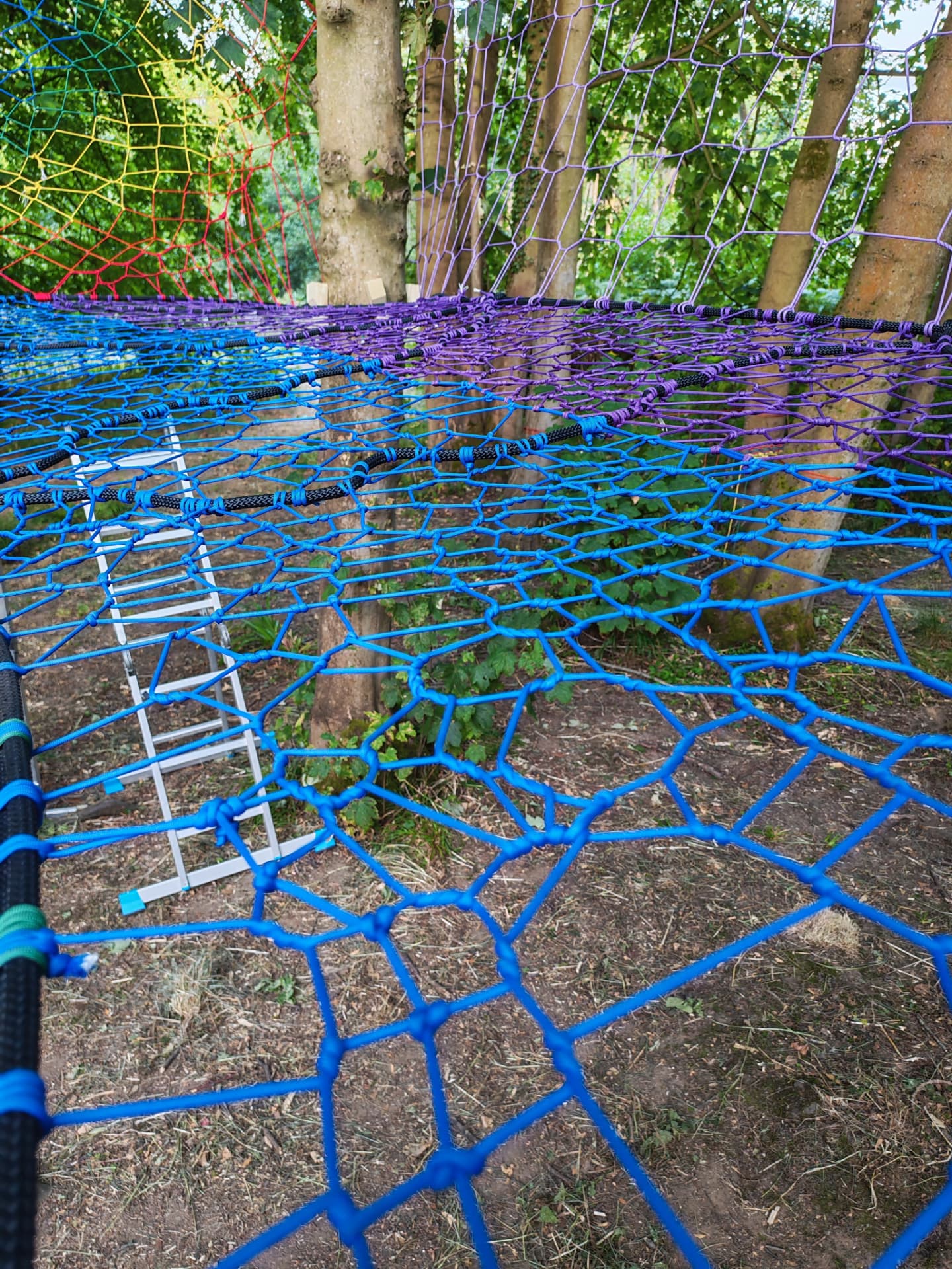Low view along the blue and purple woven platform net at Halkyn Woods