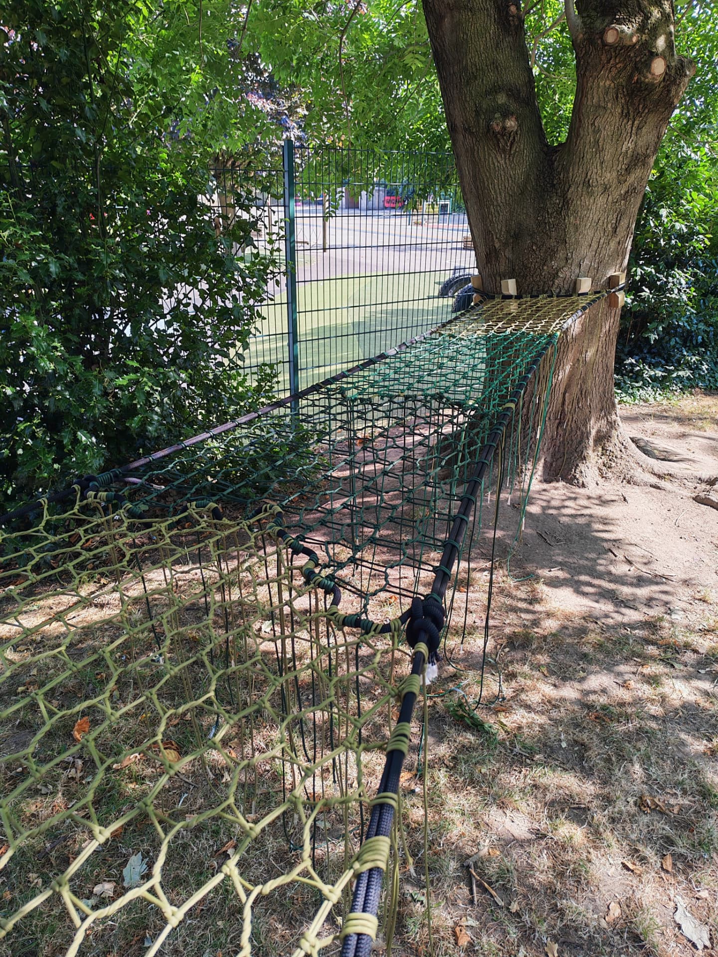 Finished green and olive climbing net secured to a mature tree with timber blocks at Westdale Primary School