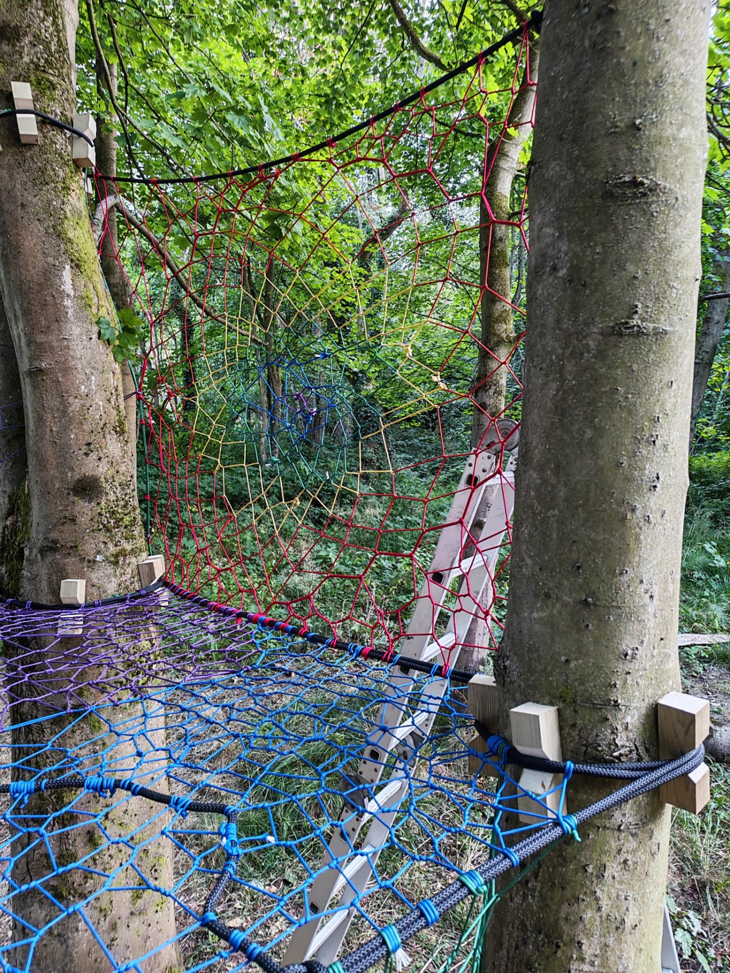 Rainbow woven back-wall net and blue platform net of the Halkyn Woods TreeNet installation