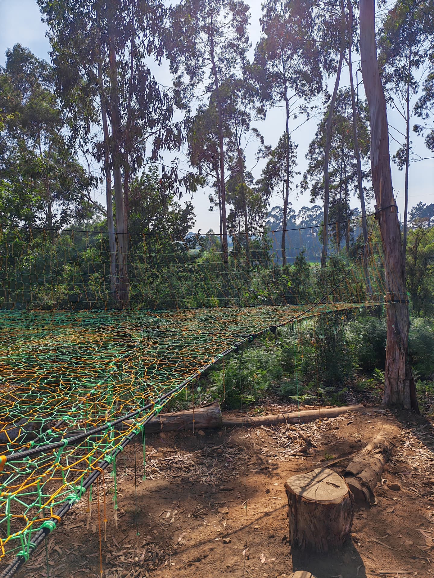 Wide view of the green and orange woven net platform edged with timber logs in a Portuguese eucalyptus woodland