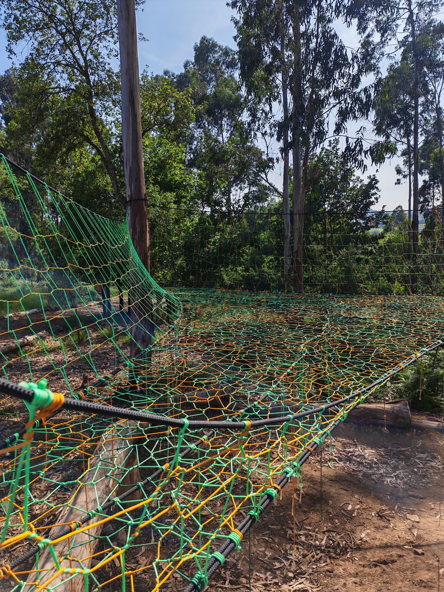 Green and orange hand-woven TreeNet platform with sloping climbing panel among eucalyptus trees in Portugal